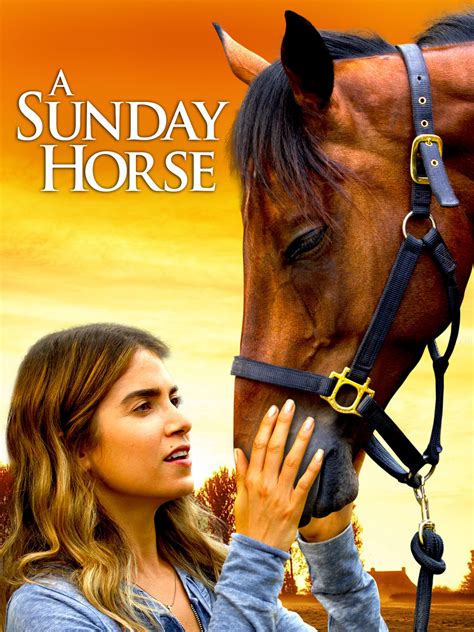 A SUNDAY HORSE
 2024.04.27 22:28